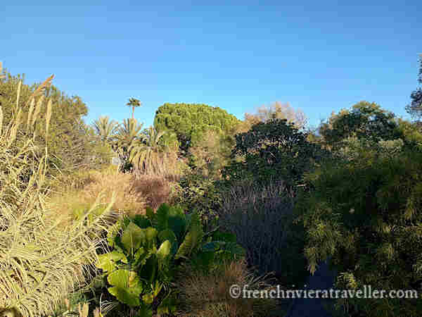 Mediterranean garden in Parc Phoenix
