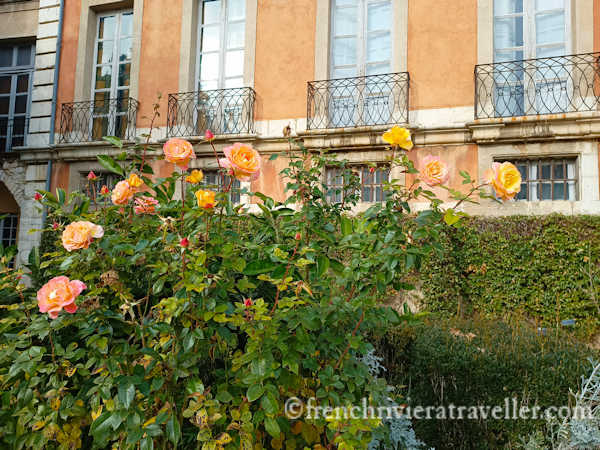 Garden of the Provence History and Culture Museum